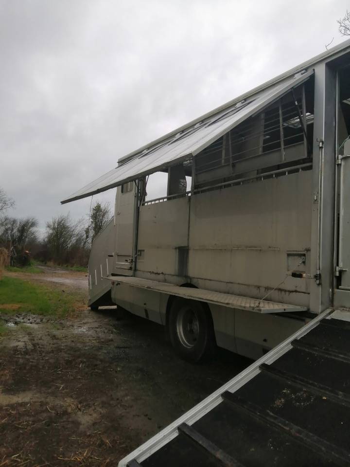 Zware paardenvrachtwagen (groot rijbewijs) Mercedes Actros  2005 Tweedehands