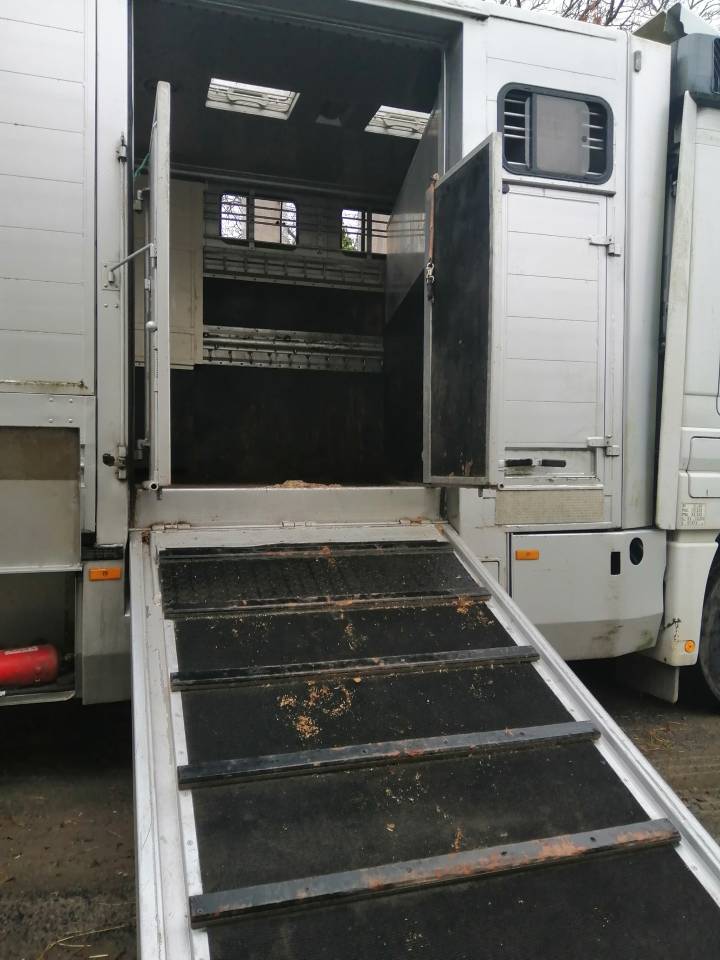 Zware paardenvrachtwagen (groot rijbewijs) Mercedes Actros  2005 Tweedehands