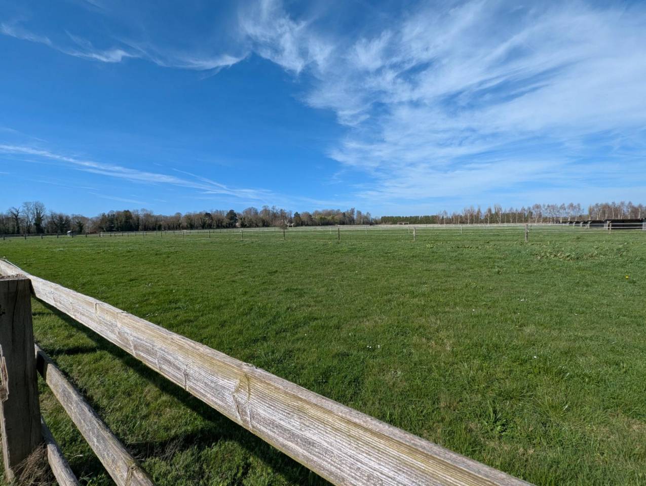 Hippisch vastgoed Koop Calvados