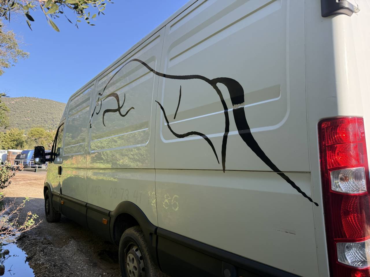 Kleine paardenvrachtwagen (B rijbewijs) Iveco Daily 2007 Tweedehands