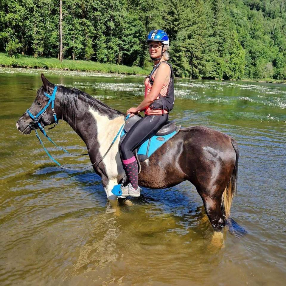 Ruin Arabisch halfbloed Te koop 2017 Bontzwart