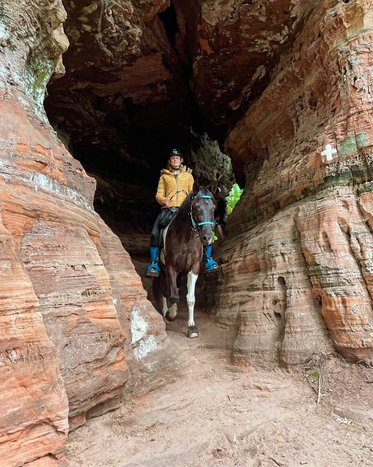 Ruin Arabisch halfbloed Te koop 2017 Bontzwart