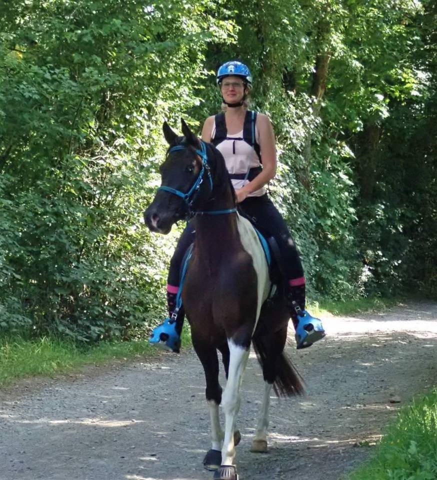 Ruin Arabisch halfbloed Te koop 2017 Bontzwart