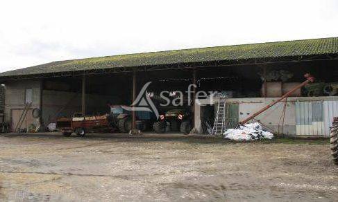 Landbouw bedrijf Koop Indre-et-Loire