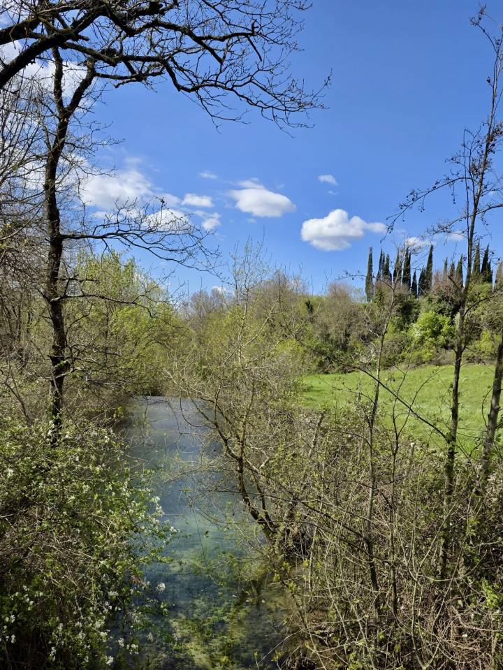 Mooi hippisch vastgoed Koop Dr&ocirc;me