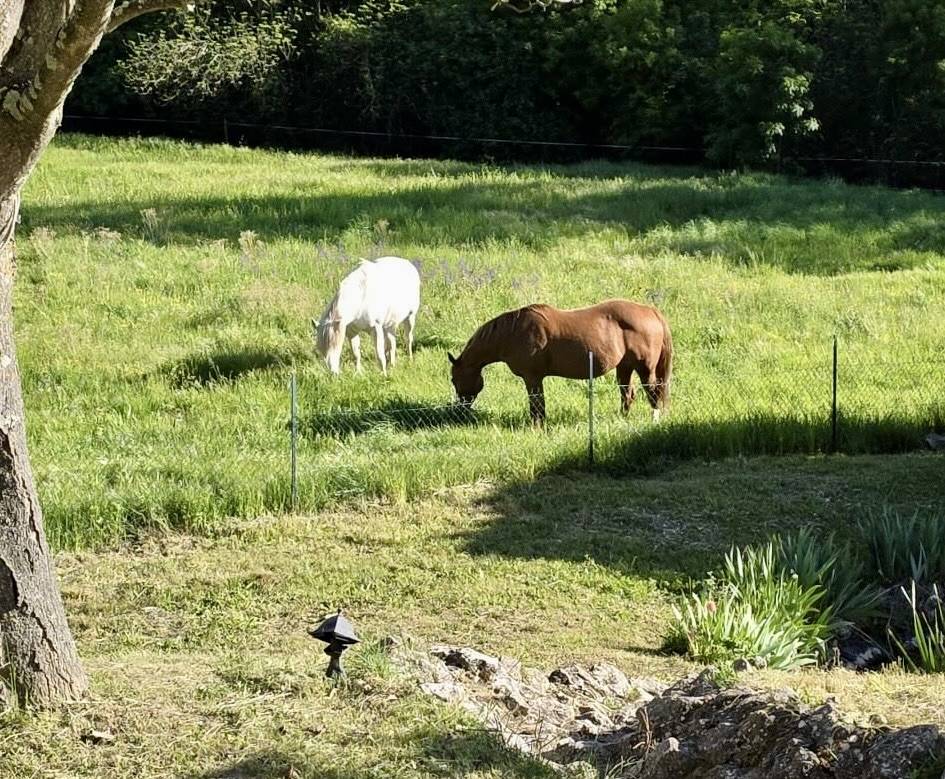 Mooi hippisch vastgoed Koop Dr&ocirc;me