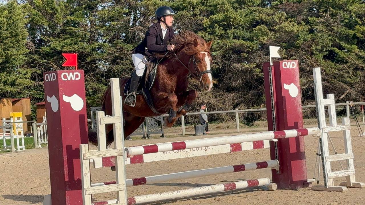 Ruin Connemara Te koop 2021 Vos ,  CLOVER ELIZA MODESTY