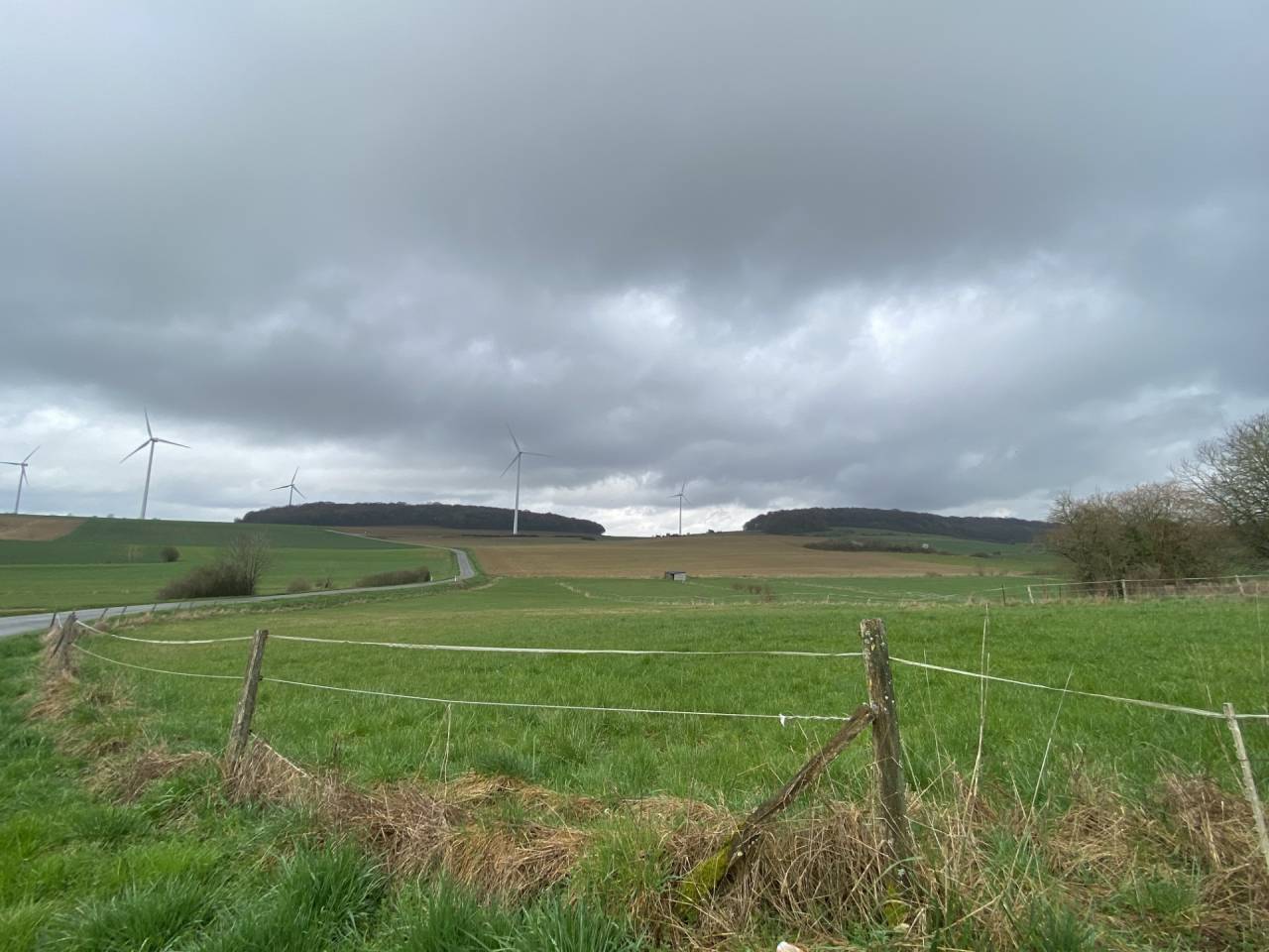 Mooi hippisch vastgoed Koop Meurthe-et-Moselle