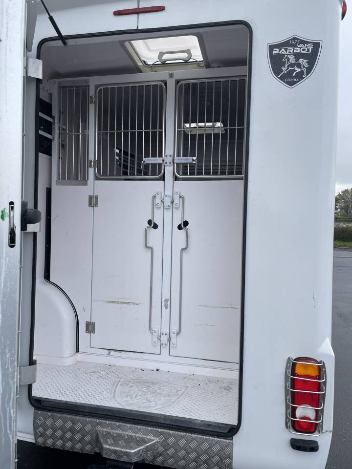 Kleine paardenvrachtwagen (B rijbewijs) Barbot Ducato 2022 Tweedehands