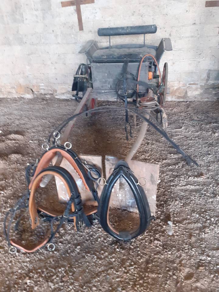 Rijtuigen - Cal&egrave;che   