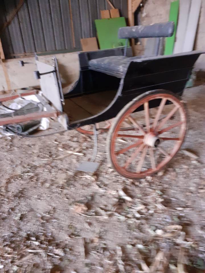 Rijtuigen - Cal&egrave;che   