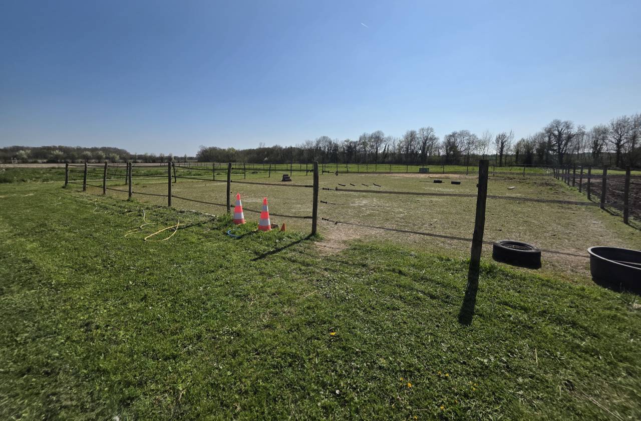 Mooi hippisch vastgoed Koop Charente-Maritime