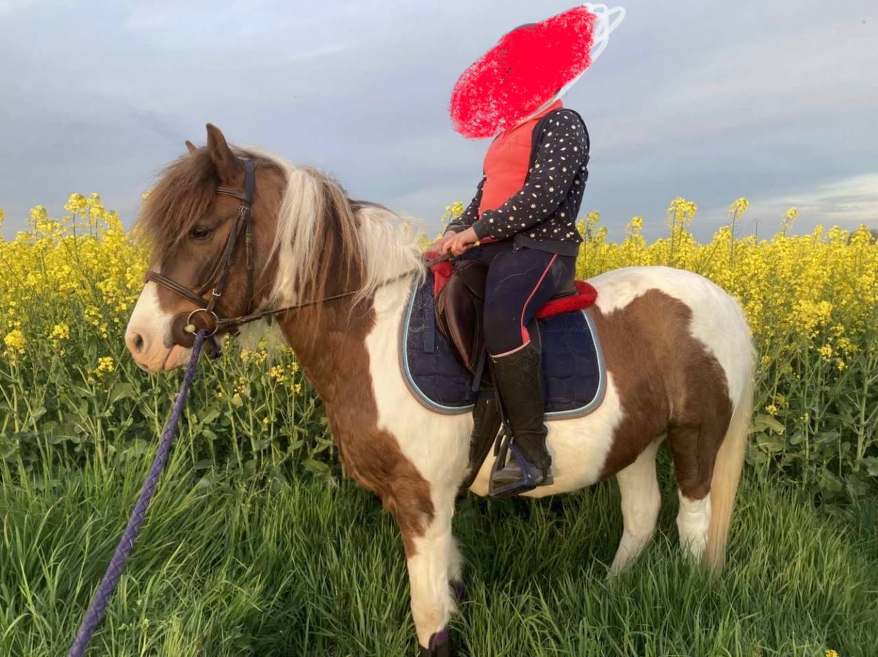 Ruin Ras onbekend Te koop 2006 Bont