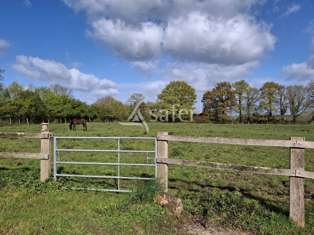 Landbouw bedrijf Koop Loire-Atlantique