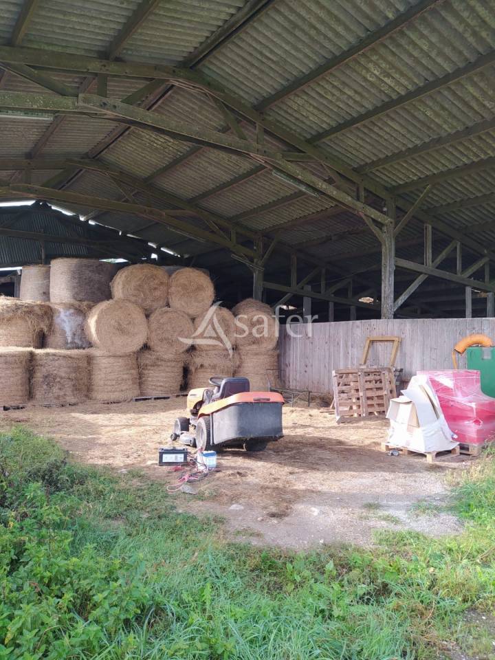 Landbouw bedrijf Koop Loire-Atlantique
