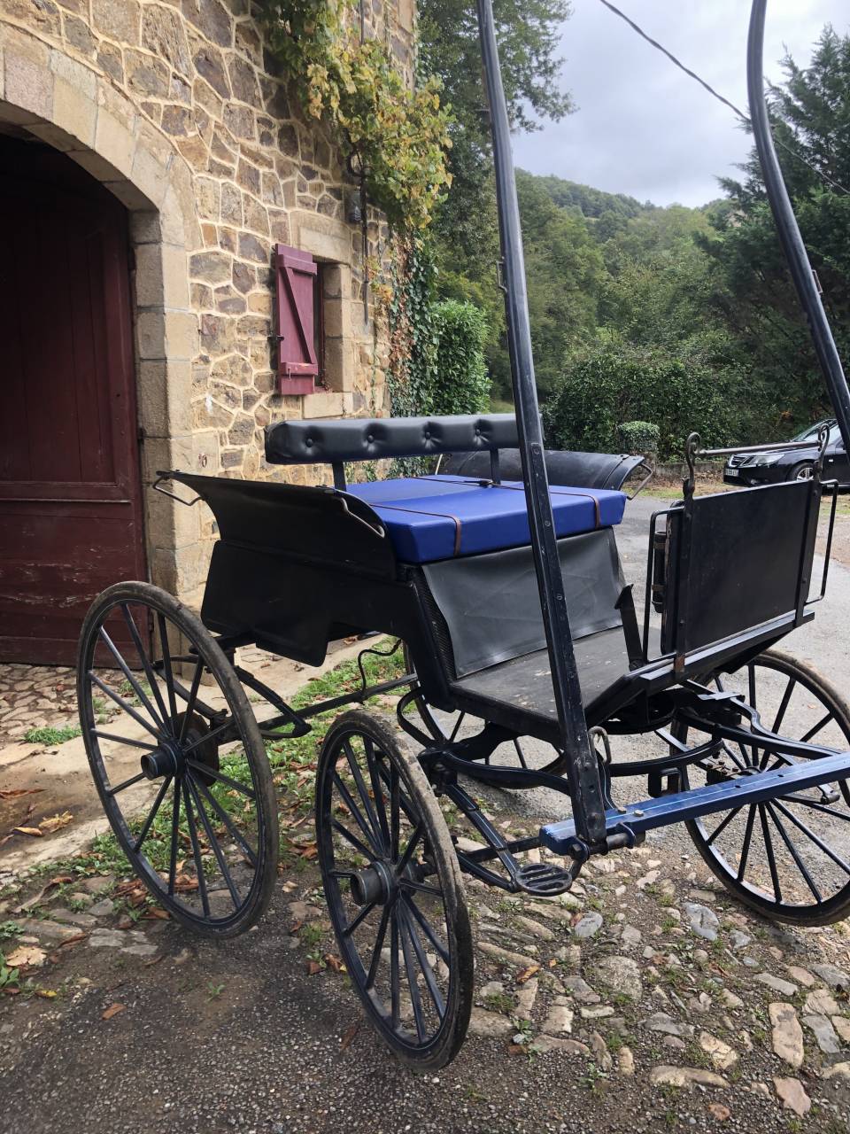 Rijtuigen - Cal&egrave;che   