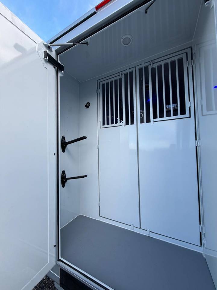 Kleine paardenvrachtwagen (B rijbewijs) TBST Renault Master 2026 Nieuw