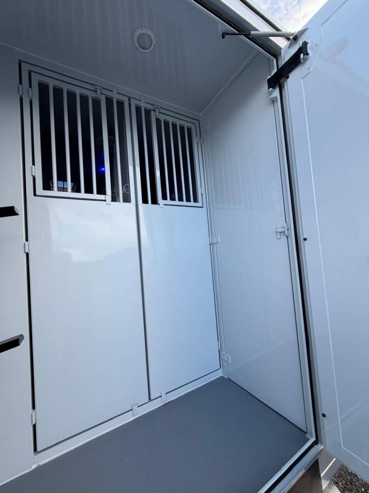 Kleine paardenvrachtwagen (B rijbewijs) TBST Renault Master 2026 Nieuw