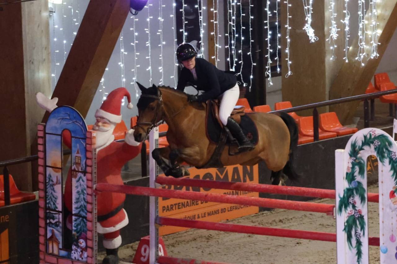 Ruin Franse rijpony PFS Te koop 2015 Donker bruin / bai ,  Royal Aron du Vassal