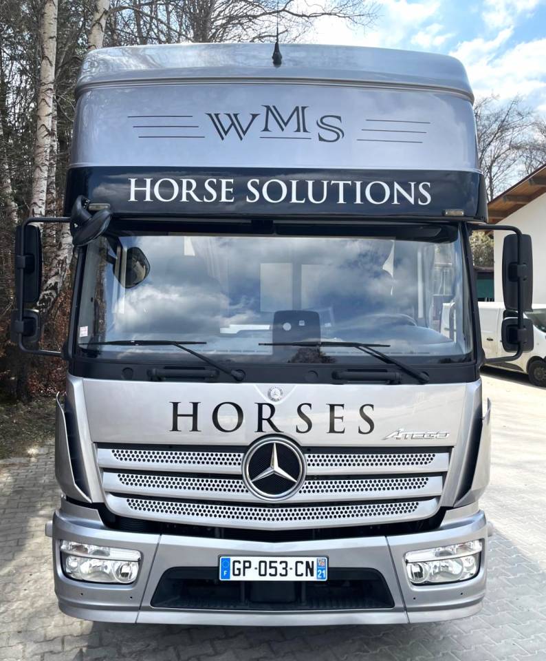 Zware paardenvrachtwagen (groot rijbewijs) Mercedes MERCEDES-BENZ 0 Tweedehands
