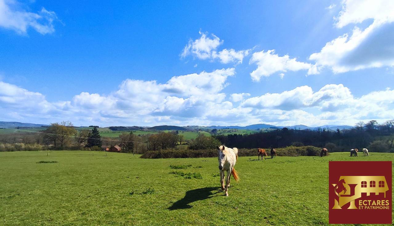 Hippisch vastgoed Koop Allier