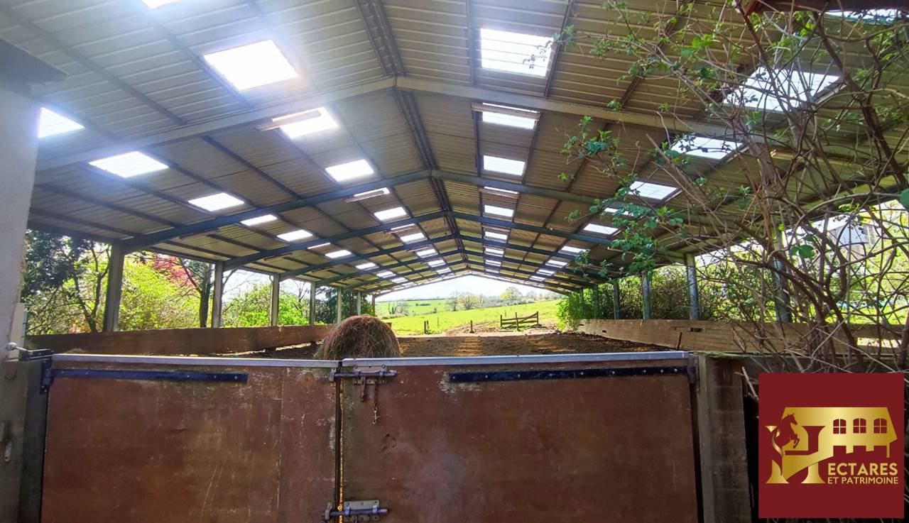 Hippisch vastgoed Koop Allier