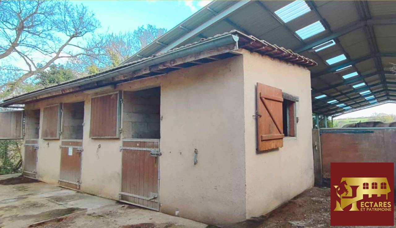 Hippisch vastgoed Koop Allier