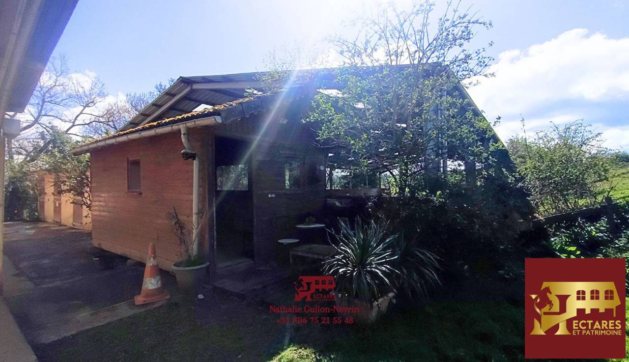 Hippisch vastgoed Koop Allier