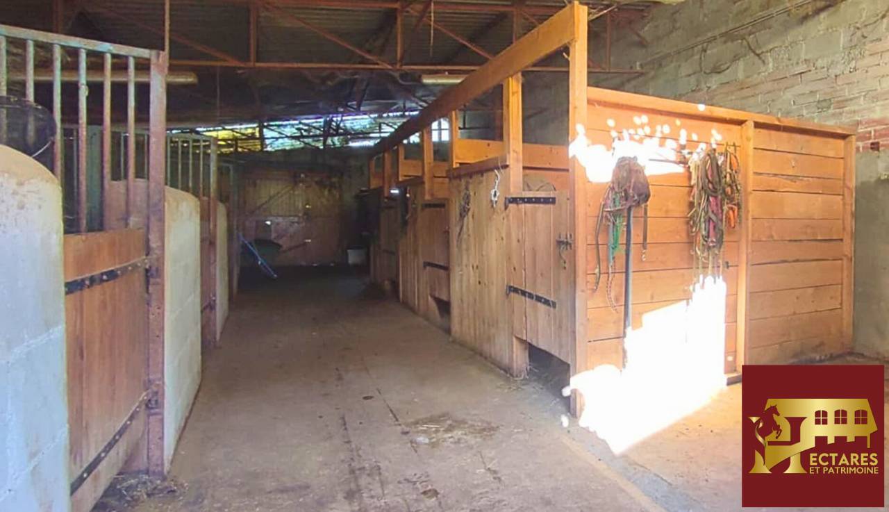 Hippisch vastgoed Koop Allier