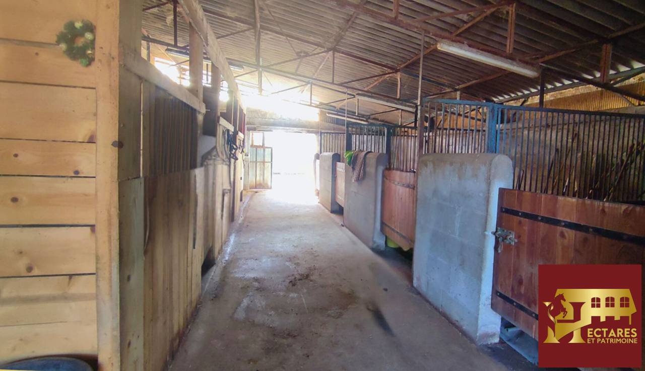 Hippisch vastgoed Koop Allier