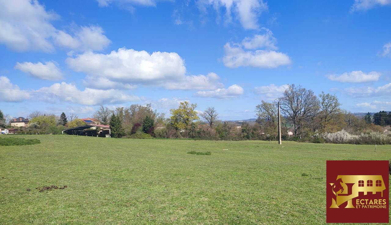 Hippisch vastgoed Koop Allier