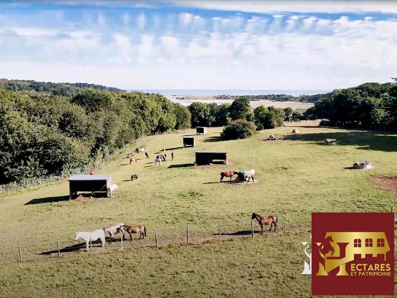 Ruiterclub Koop C&ocirc;te d'Armor