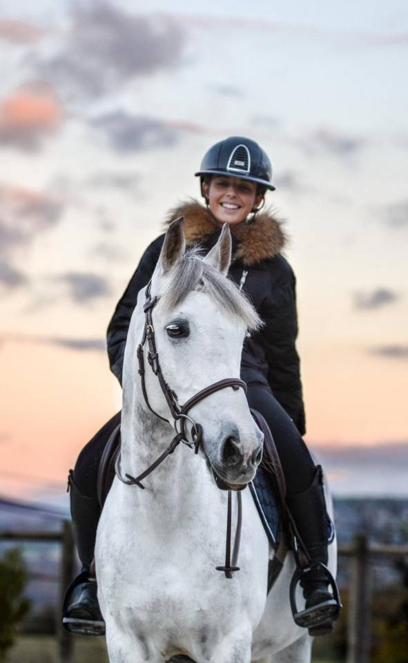 Ruin Franse rijpony PFS Te koop 2016 Schimmel ,  QUABAR DES MONCEAUX