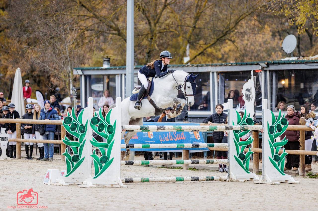 Ruin Franse rijpony PFS Te koop 2016 Schimmel ,  QUABAR DES MONCEAUX