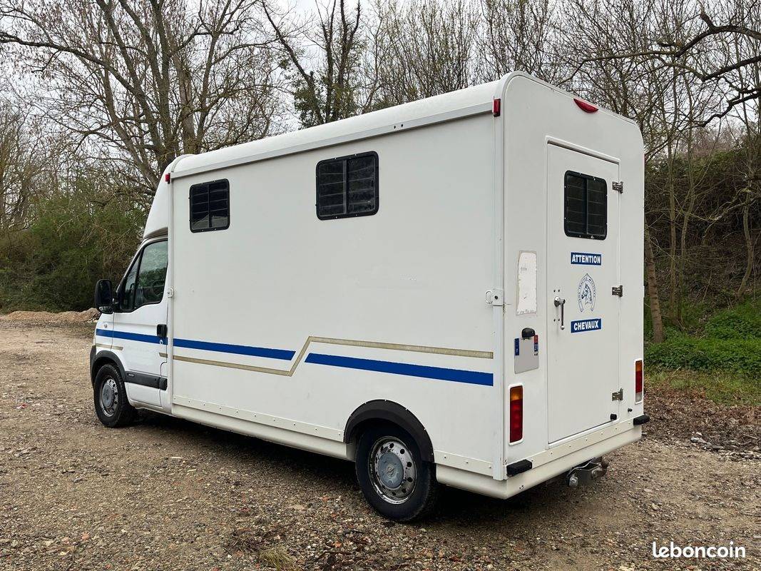 Kleine paardenvrachtwagen (B rijbewijs) Fautras OPEL MOVANO 2008 Tweedehands