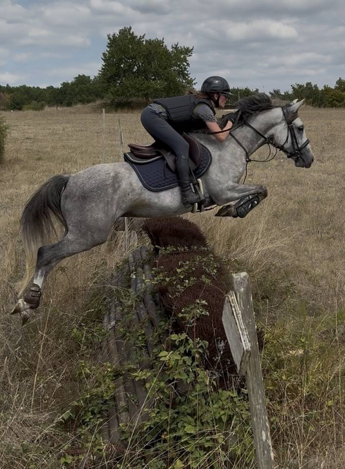 Ruin Franse rijpony PFS Te koop 2020 Schimmel