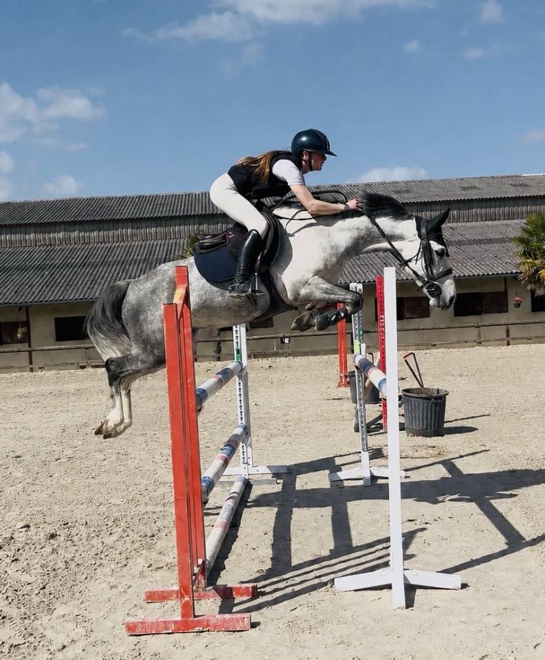 Ruin Franse rijpony PFS Te koop 2020 Schimmel