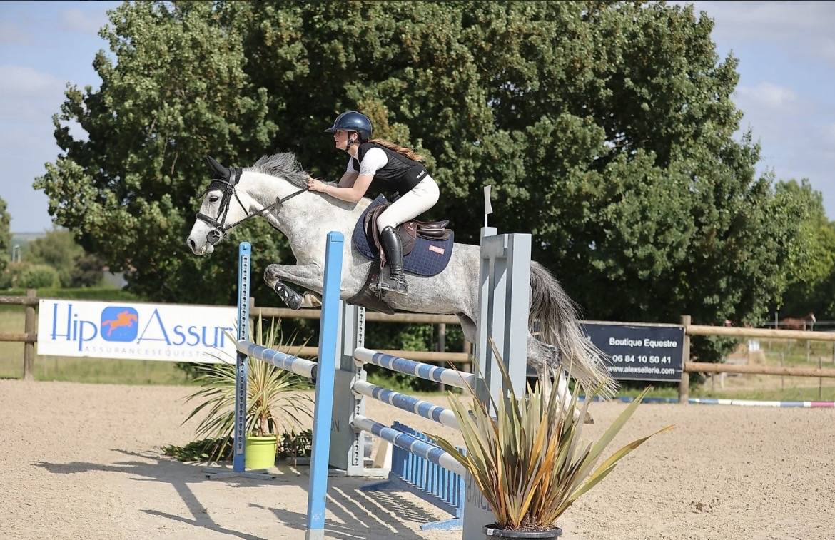 Ruin Franse rijpony PFS Te koop 2020 Schimmel