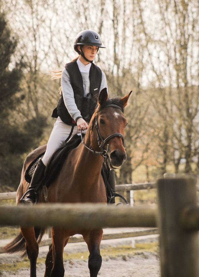 Merrie Selle Fran&ccedil;ais Te koop 2021 Donker bruin / bai ,  CONTENDRO