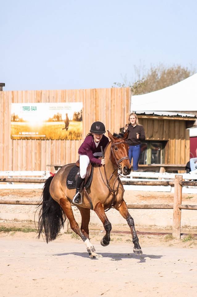 Merrie Selle Fran&ccedil;ais Te koop 2021 Donker bruin / bai