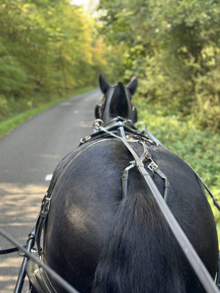 Mooi hippisch vastgoed Koop Eure