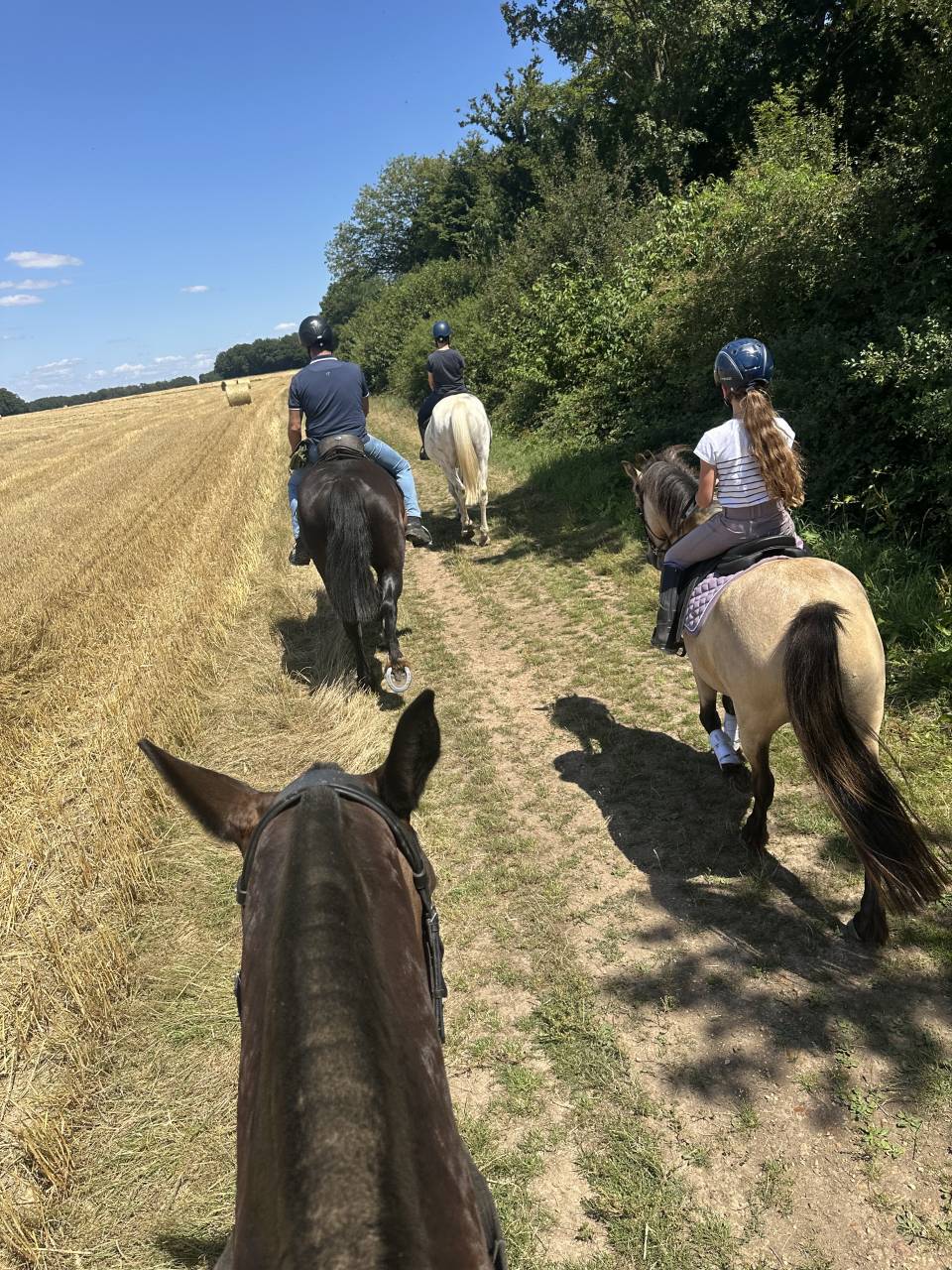 Mooi hippisch vastgoed Koop Eure