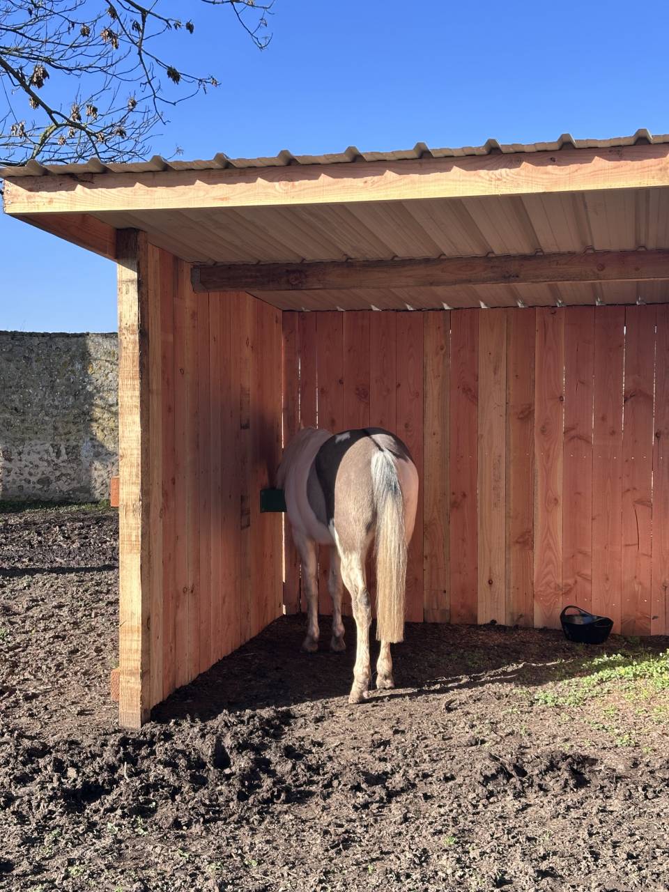 Mooi hippisch vastgoed Koop Eure