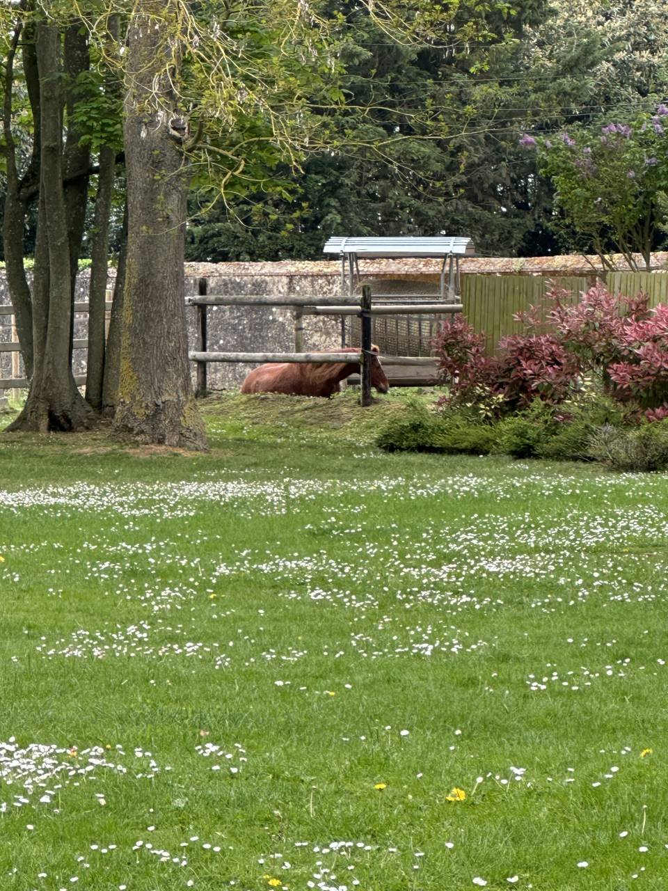 Mooi hippisch vastgoed Koop Eure