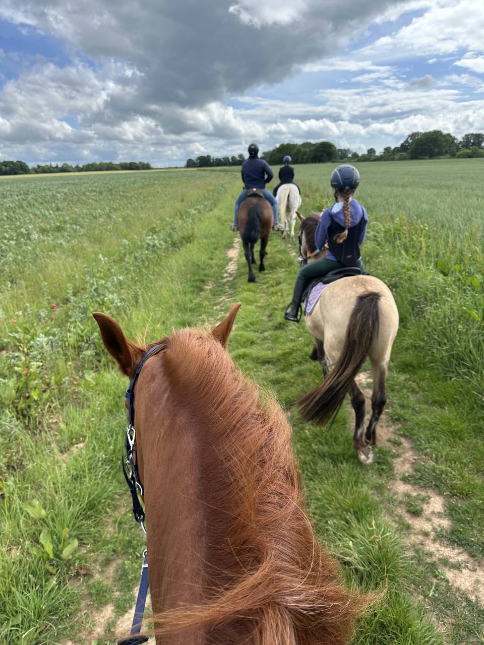 Mooi hippisch vastgoed Koop Eure