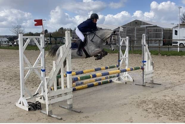 Merrie Franse rijpony PFS Te koop 2022 Schimmel