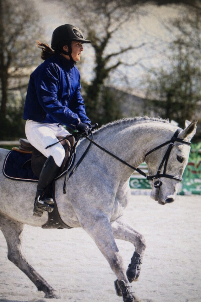 Merrie Franse rijpony PFS Te koop 2022 Schimmel