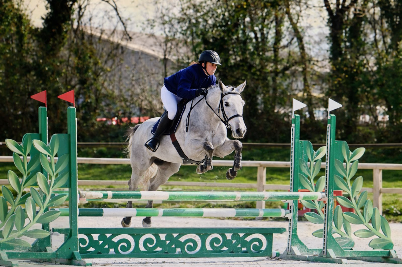 Merrie Franse rijpony PFS Te koop 2022 Schimmel