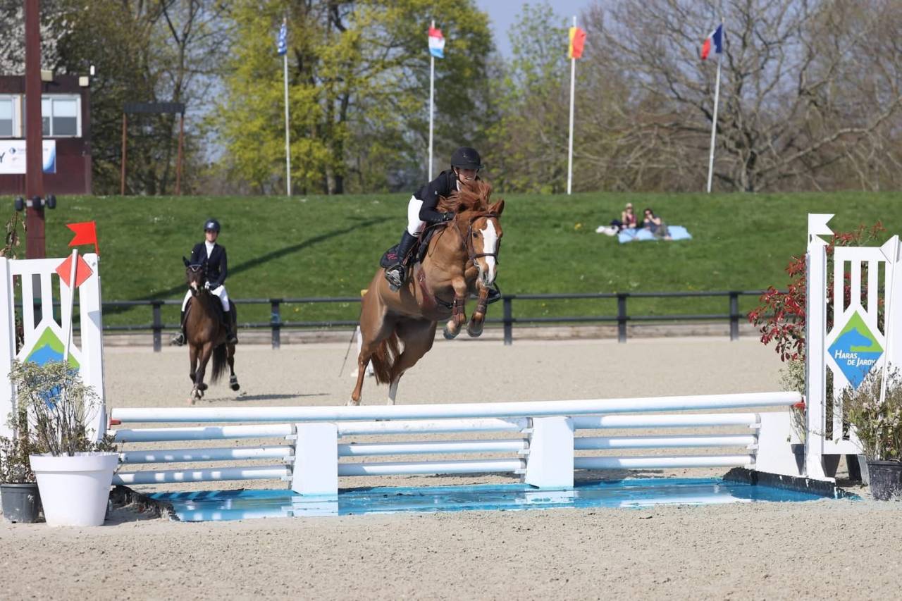 Merrie Franse rijpony PFS Te koop 2019 Vos