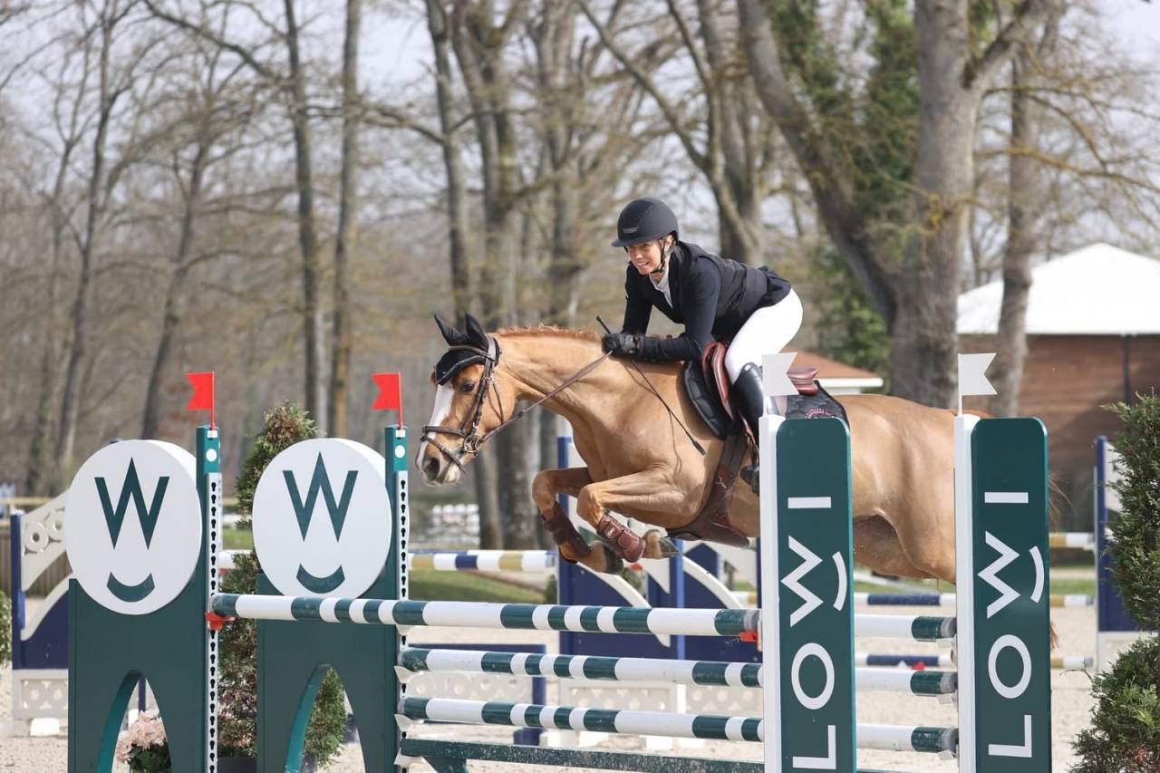 Merrie Franse rijpony PFS Te koop 2019 Vos